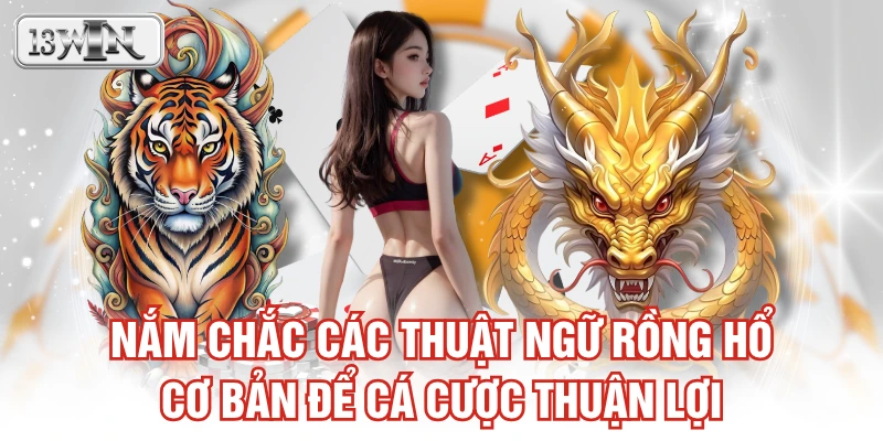 Nắm chắc các thuật ngữ rồng hổ cơ bản để cá cược thuận lợi